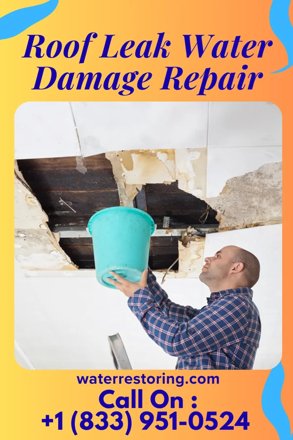 Roof Leak Water Damage Repair in Bohners Lake, WI