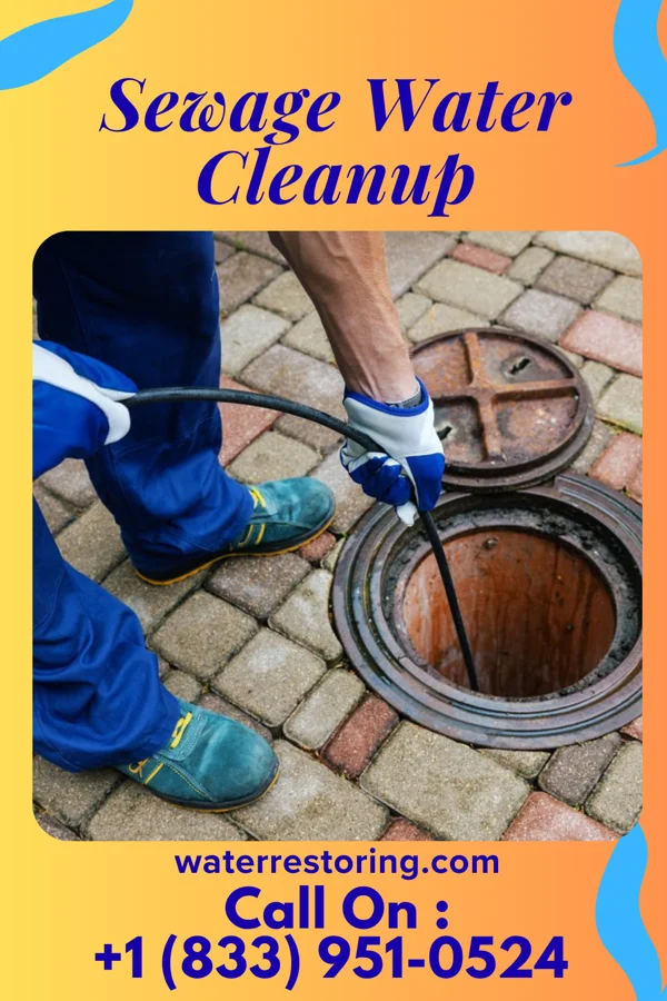 Sewage Water Cleanup in Bohners Lake, WI