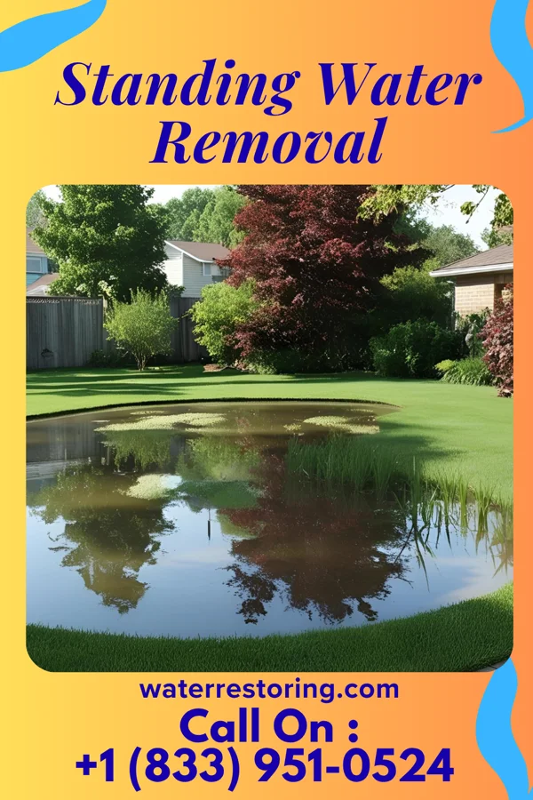 Standing Water Removal in Bohners Lake, WI